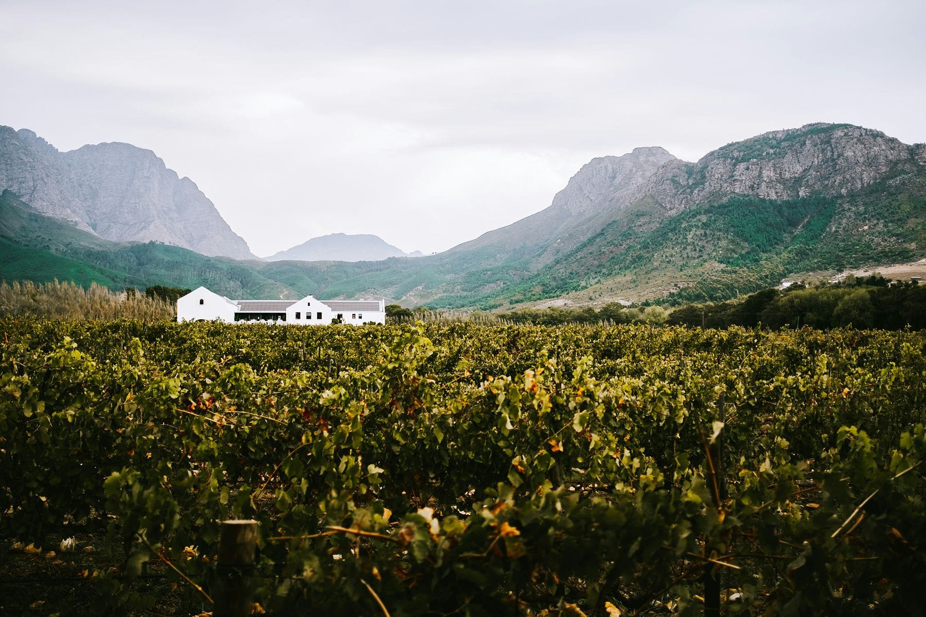 Cape Winelands elopement